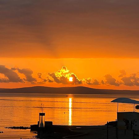 Apartment Privlaka Direkt Am Strand Mit Klima Und Neuem Badezimmer Haustiere Sind Willkommen Εξωτερικό φωτογραφία